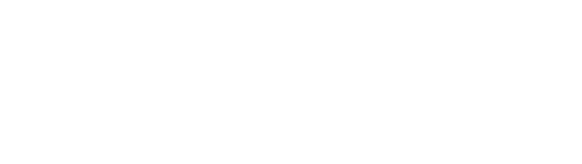 Vixon